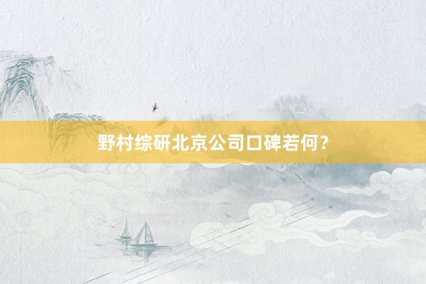 野村综研北京公司口碑若何？